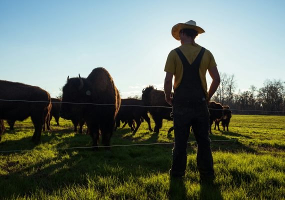 man in white shirt and black pants standing on green grass field with brown horse during
